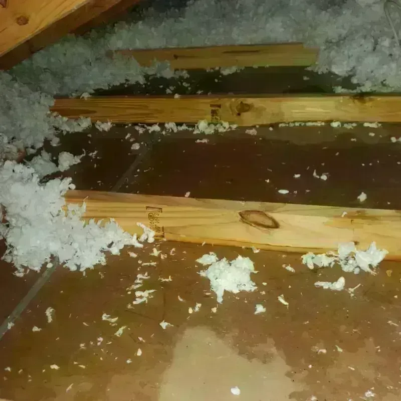 Attic Water Damage in Waco, TX