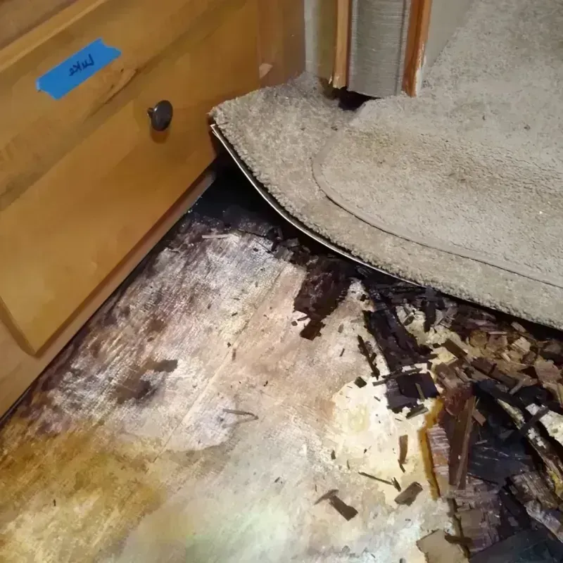 Wood Floor Water Damage in Waco, TX